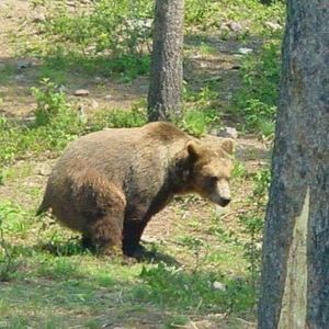 Meet your Posher, Rick